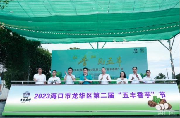 2024海口市龙华区湿地丰收节暨第三届香芋节将于7月28日举