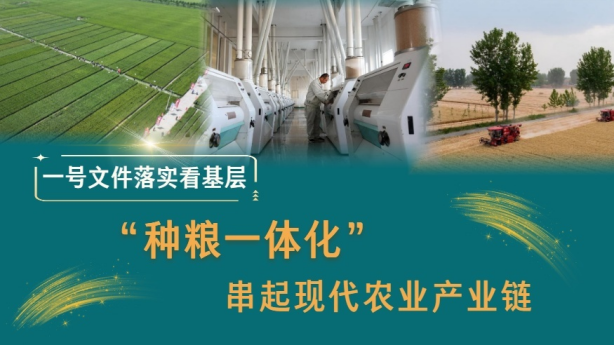 “种粮一体化”串起现代农业产业链