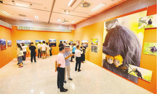 “影动长江”全国主题摄影大展在武汉启幕，用影像绘就新时代长江